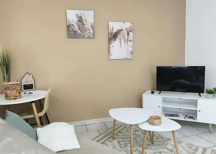 Appt Le Clocher Doree 4 Pers / Centre-ville/fibre/box Tv Millau